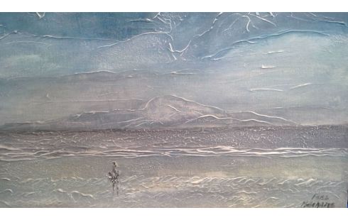 SCHILDERIJ ZEEZICHT FONS MACHARIS