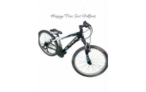 FIETS KIND MINERVA ALPINE