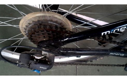 FIETS KIND MINERVA ALPINE