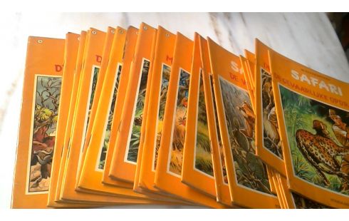 STRIPS SAFARI VAN 1 TOT 24