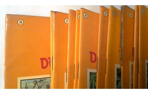 STRIPS SAFARI VAN 1 TOT 24