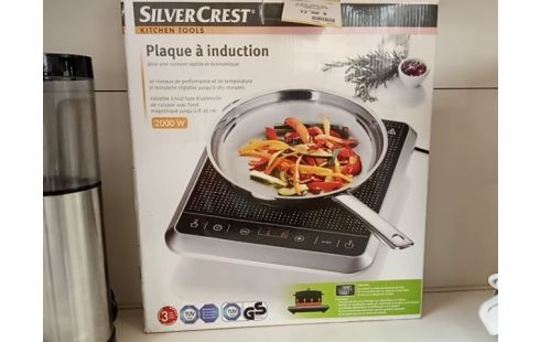 PLAQUE INDUCTION SILVERCREST