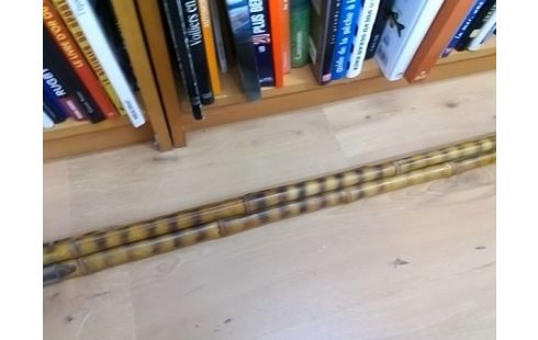 CANNE A PECHE BAMBOU 5M20 (AVEC ANNEAU)