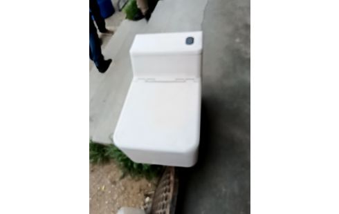 WC CHIMIQUE SANIBROYEUR