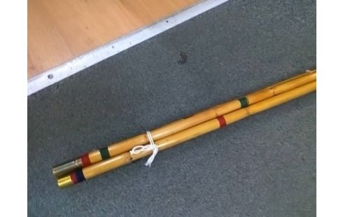 CANNE A PECHE AVEC EPUISETTE