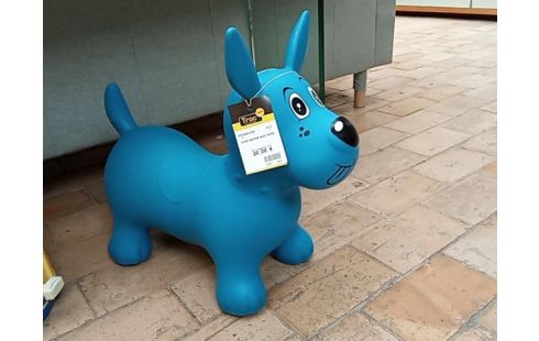 CHIEN SAUTEUR BLEU
