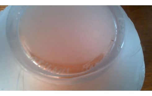 VAAS GLAS LALIQUE GESIGNEERD NEFLIERS 1923.