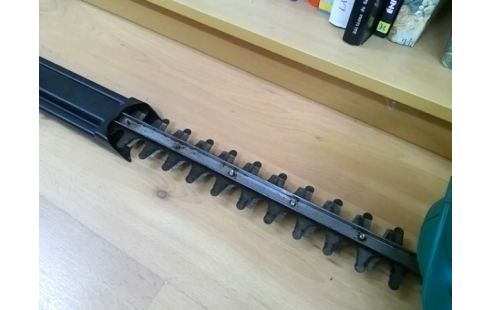 TAILLE HAIE BOSCH AHS 600-24 ST