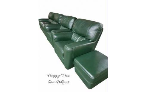 SALON BUROV VERTE BUFFLE CUIR