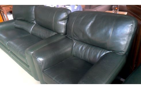 SALON BUROV VERTE BUFFLE CUIR