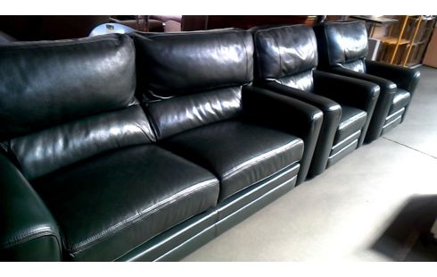 SALON BUROV VERTE BUFFLE CUIR