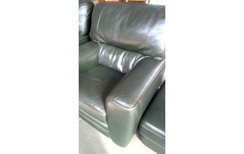 SALON BUROV VERTE BUFFLE CUIR