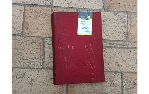 LIVRE ABANDONNÉE DE RIBOULET