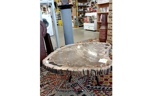 TABLE BOIS FOSSILISE