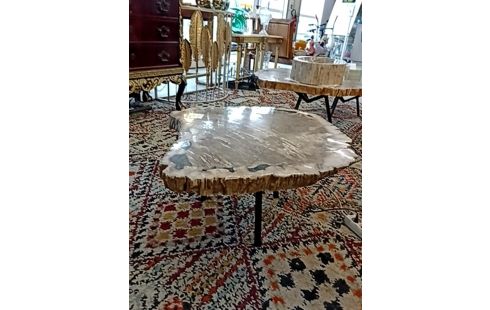 TABLE BOIS FOSSILISE