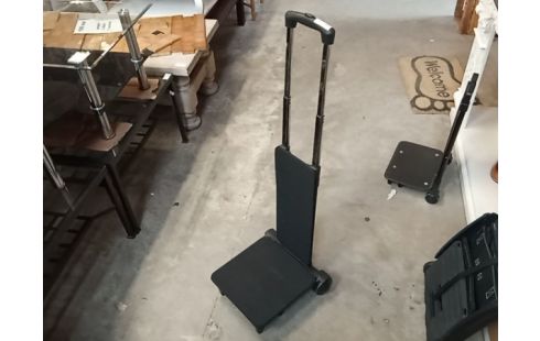 SAC DE TRANSPORT A ROULETTES SANS SAC