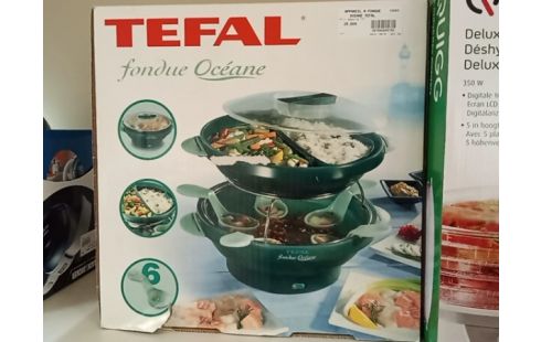 APPAREIL A FONDUE OCEANE TEFAL