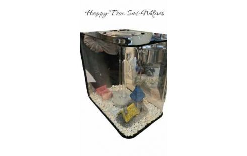 AQUARIUM KLEINES MODELL PLEXIGLAS