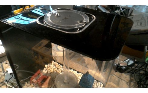 AQUARIUM KLEINES MODELL PLEXIGLAS