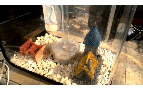 AQUARIUM KLEINES MODELL PLEXIGLAS