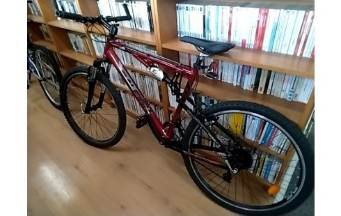 VTT RALEIGH ROUGE