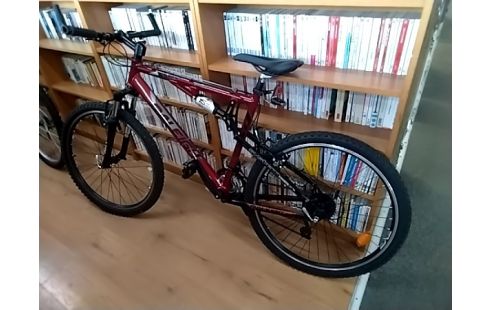 VTT RALEIGH ROUGE