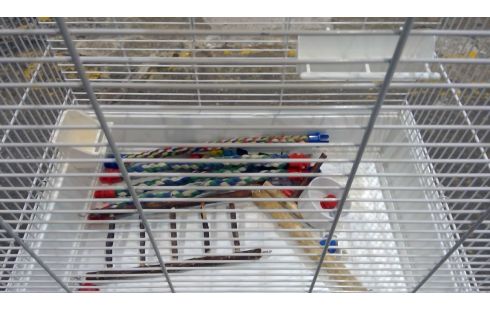 CAGE A OISEAU PETIT MODELE METAL