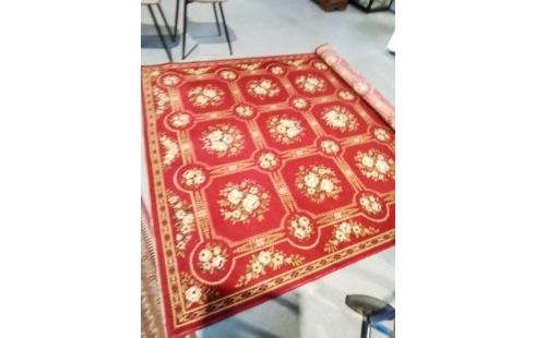 TAPIS ROUGE 200 X 300