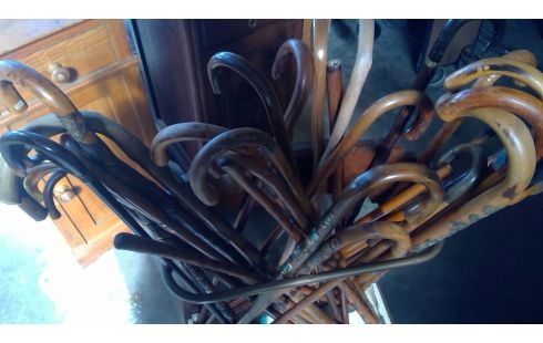 WANDELSTOKKEN COLLECTIE IN