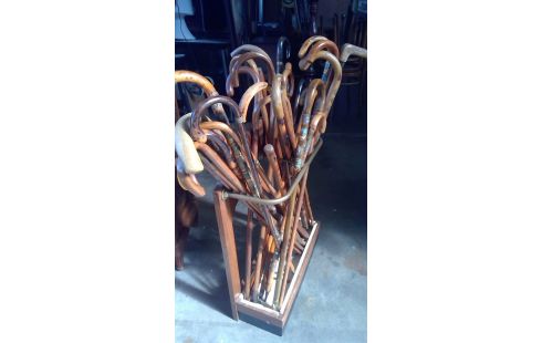 WANDELSTOKKEN COLLECTIE IN