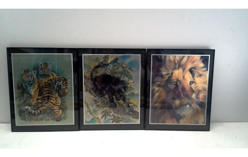 KADER WILDE DIEREN  GLOSSY