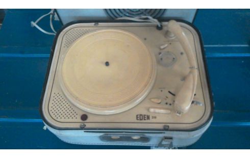 PLATENSPELER IN DE STAAT