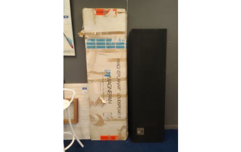 ENCEINTE MAGNEPLANAR MG1.5 LA PAIRE