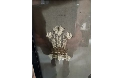 CADRE PRINCE DE GALLES/ ZURICH