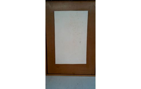 KADER ACRYLVERF  PORTRET DE COCKX