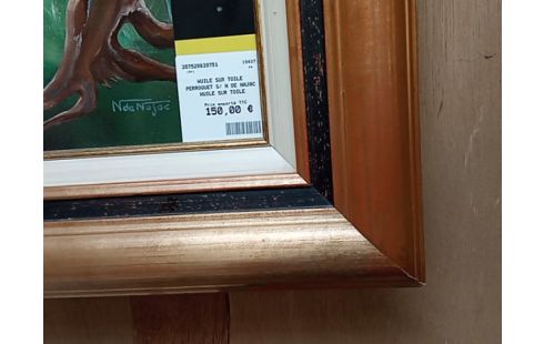 HUILE SUR TOILE PERROQUET S/ N DE NAJAC