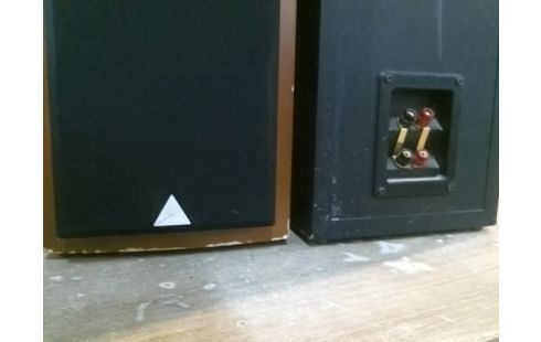 ENCEINTE TRIANGLE ZEPHIR 150WATTS