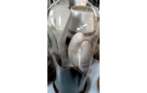 GLOBO 1 REDONDO HIELO