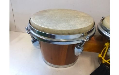 BONGO .