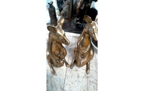 BEELD KANGEROE KOPER