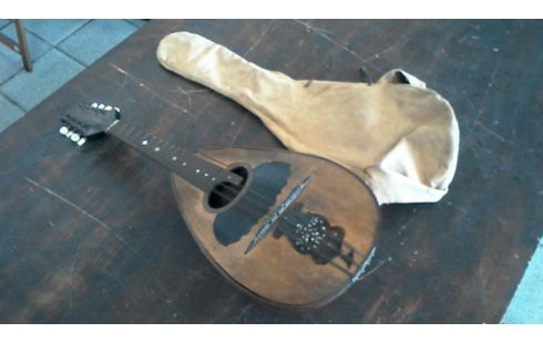 MANDOLINE IN DE STAAT