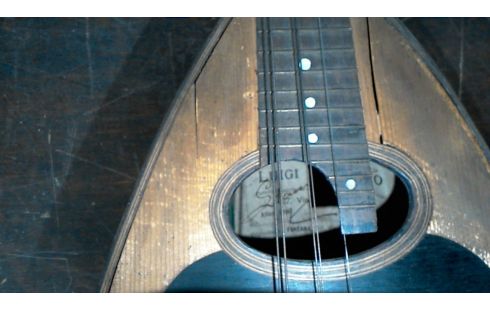 MANDOLINE IN DE STAAT