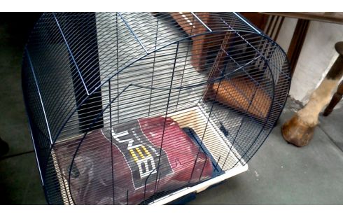 CAGE A OISEAU, , MARINE BLEUE