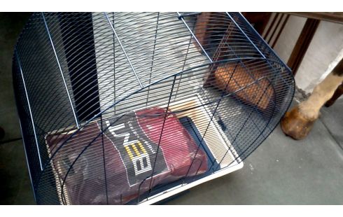 CAGE A OISEAU, , MARINE BLEUE