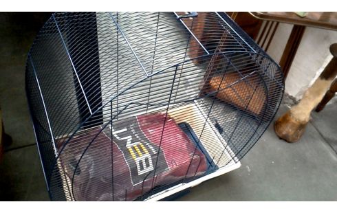 CAGE A OISEAU, , MARINE BLEUE