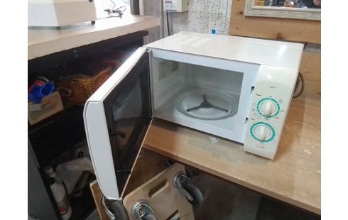 MICRO ONDES PROLINE
