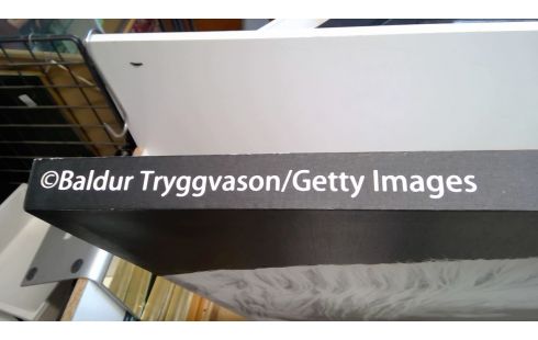 CANVAS BALDUR  TRYGGVASON