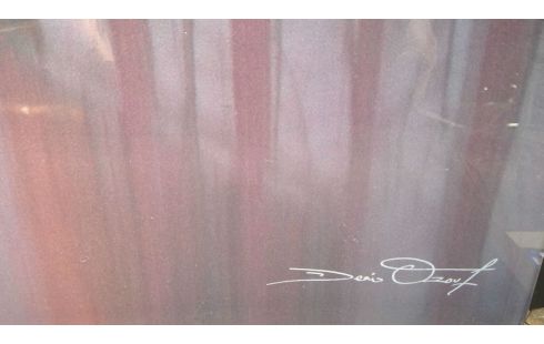 PHOTO OP FRAME PLEXI  DENIS OZOUF