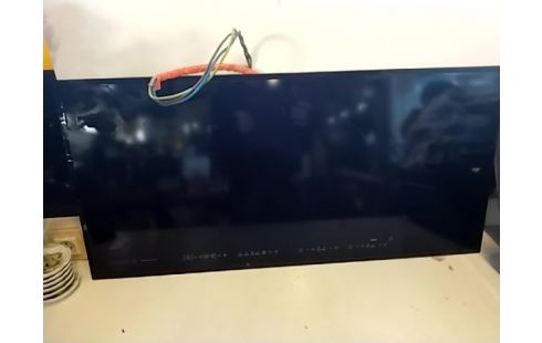 PLAQUE INDUCTION DE DIETRICH