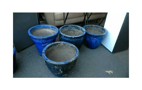 BLUMENTOPF EMAIL BLAU